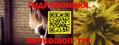 винт Кингисепп