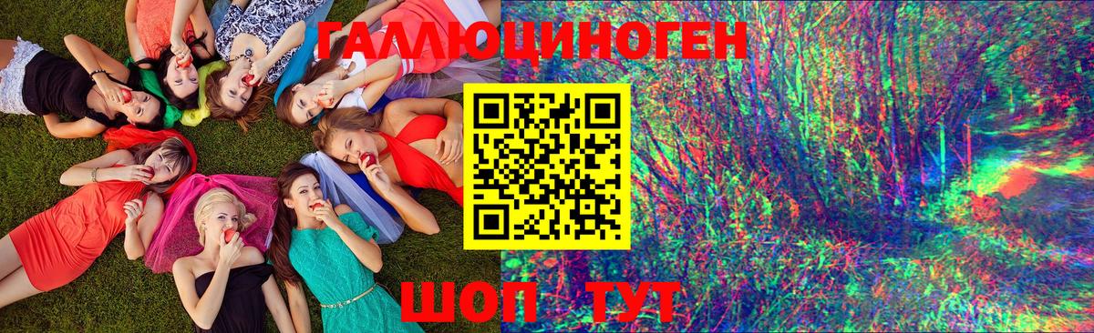 Псилоцибиновые грибы GOLDEN TEACHER Кудымкар