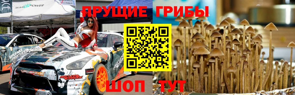 Галлюциногенные грибы ЛСД  Псилоцибиновые грибы Psilocybine cubensis  Вход с VPN  Кудымкар 